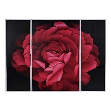 Large 3 piece Canvas Wall art Red Ranunculus Triptych size W120 H90 D 2.5
