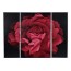 Large 3 piece Canvas Wall art Red Ranunculus Triptych size W120 H90 D 2.5
