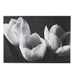  Noir Luxe Black and White Tulips Canvas. …