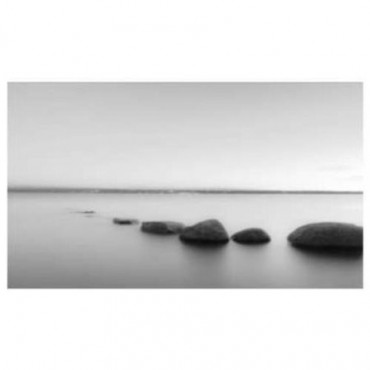 Black and White Rocks Canvas