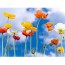 Happy Poppies Canvas Wall Art