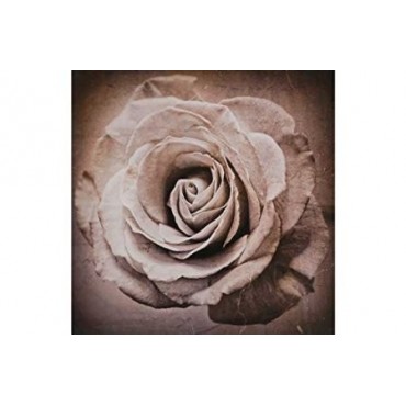 Fleur Luxe Sepia Flower Canvas.