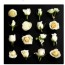 16 Cream Roses Canvas Wall Art