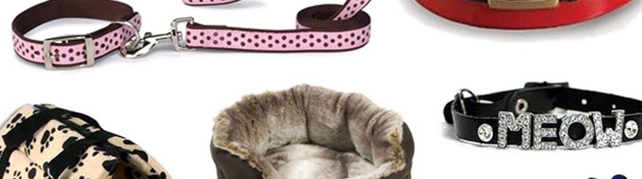 Pet Accessories